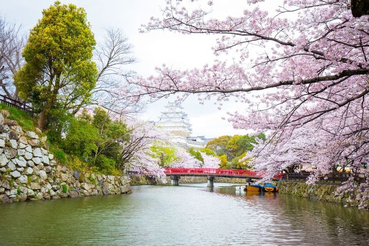 hanami-hiver