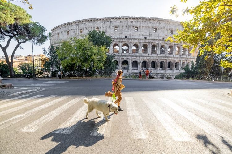 chien-devant-le-colisee-rome
