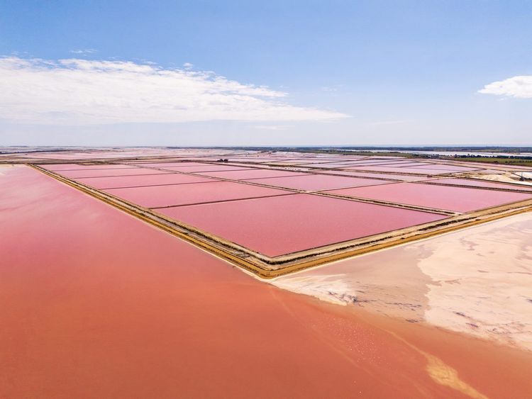 Marais salants Camargue