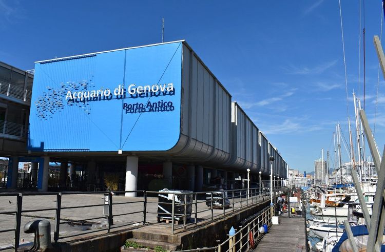 Aquarium de Gênes
