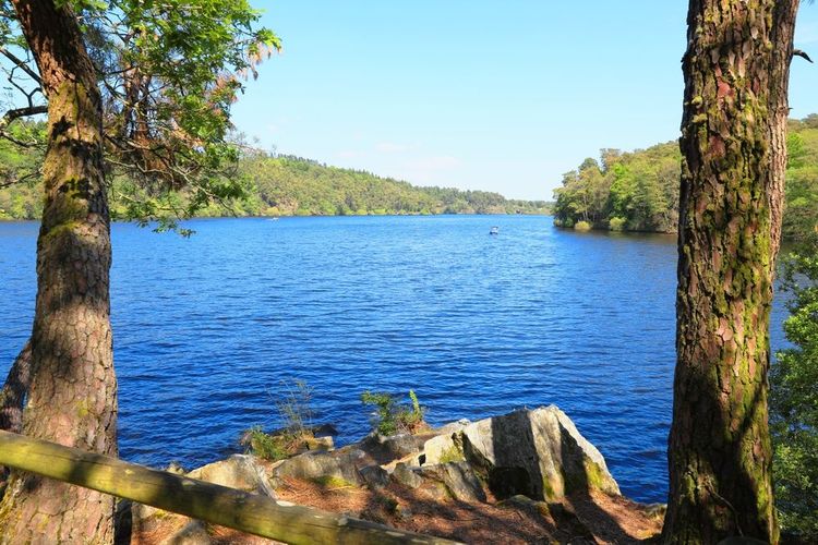 Lake,Guerlédan,In,Morbihan,And,Côtes,D'armor,,Bretagne,,France