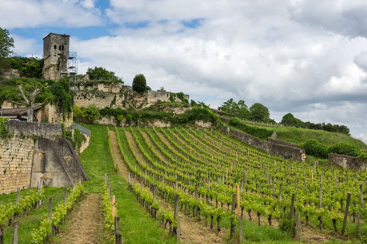 vignoble-saint-emilion