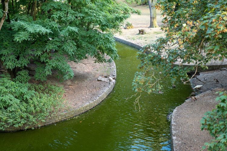Parc de la Boverie