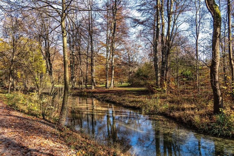 Englischer Garten