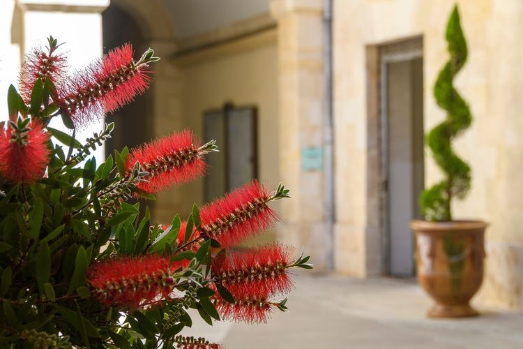 Nîmes printemps