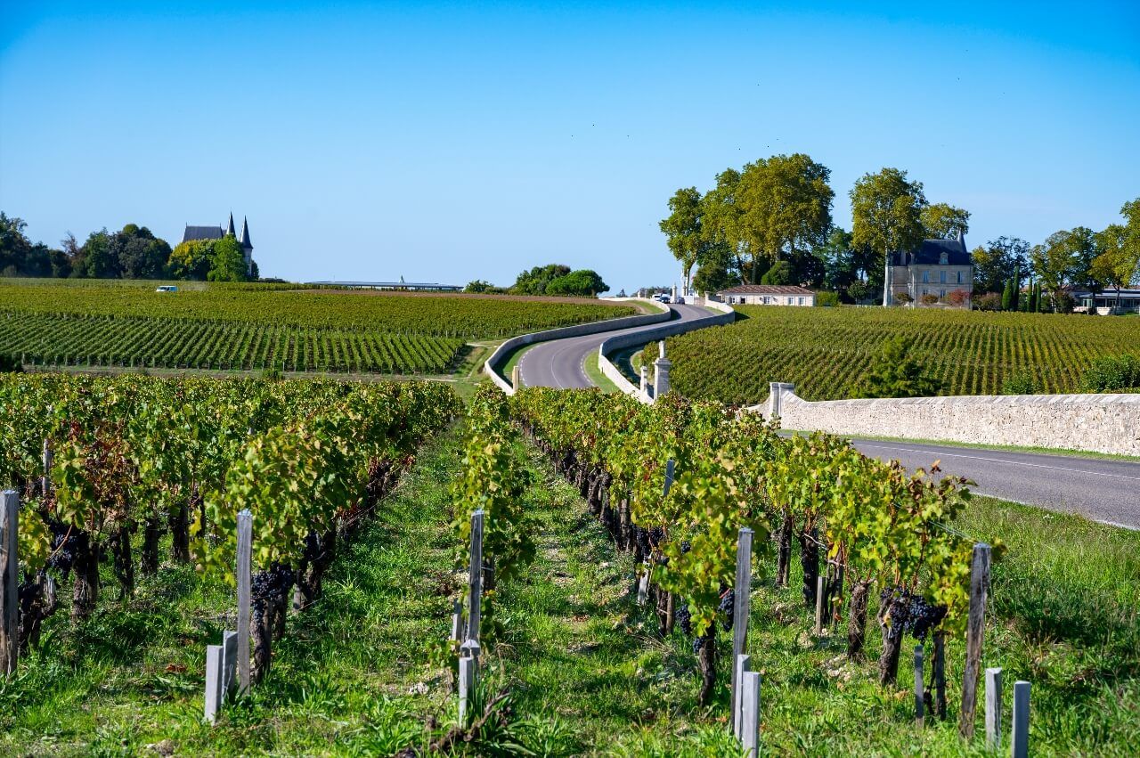 Vignobles de Pauillac