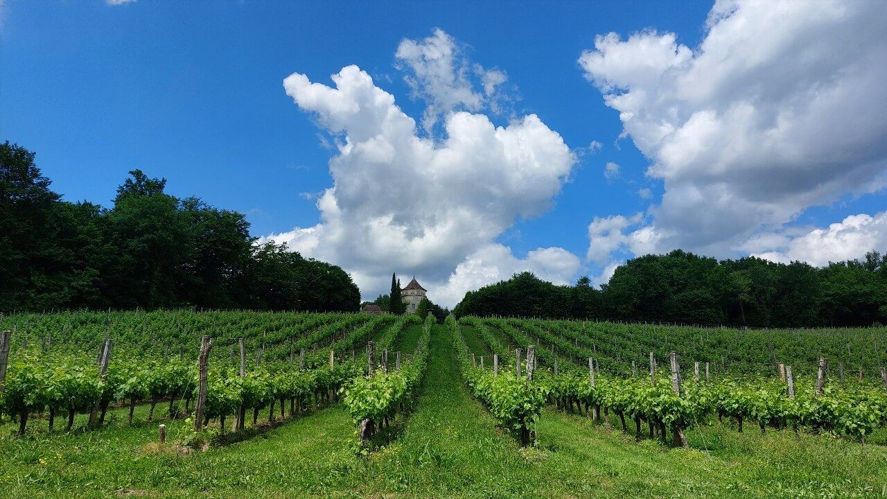 Bergerac vignobles