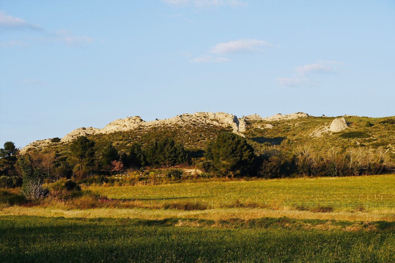 Le Paradou