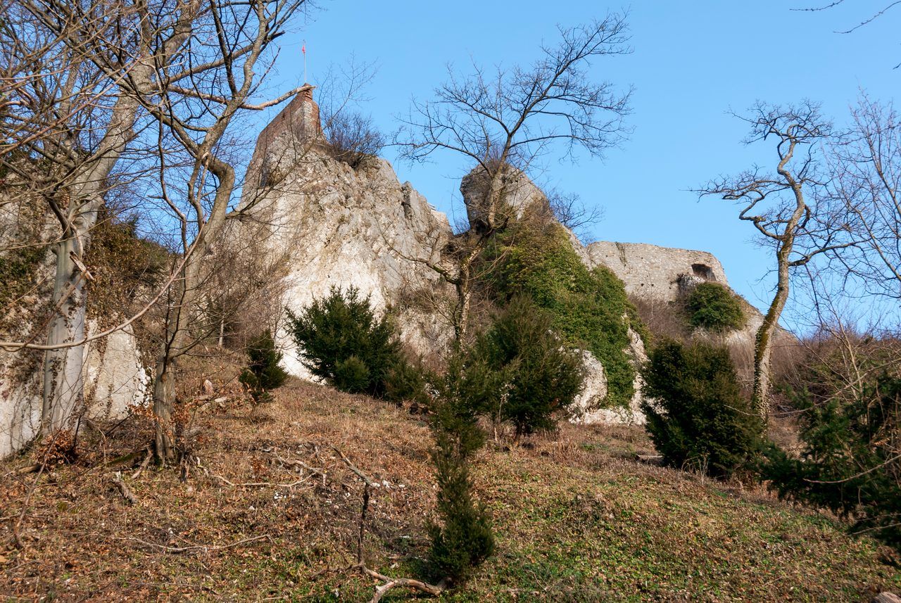Château de Ferrette