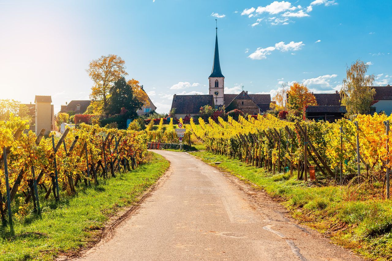 Mittelbergheim Alsace