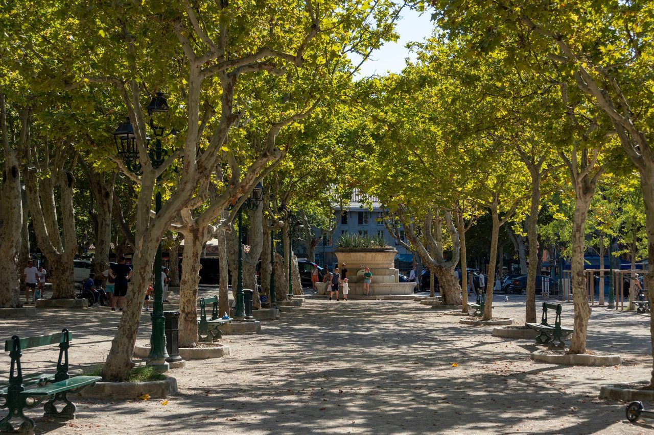 Place des Lices Saint-Tropez