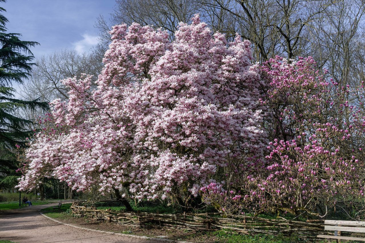 Parc Sainte-Marie Nancy