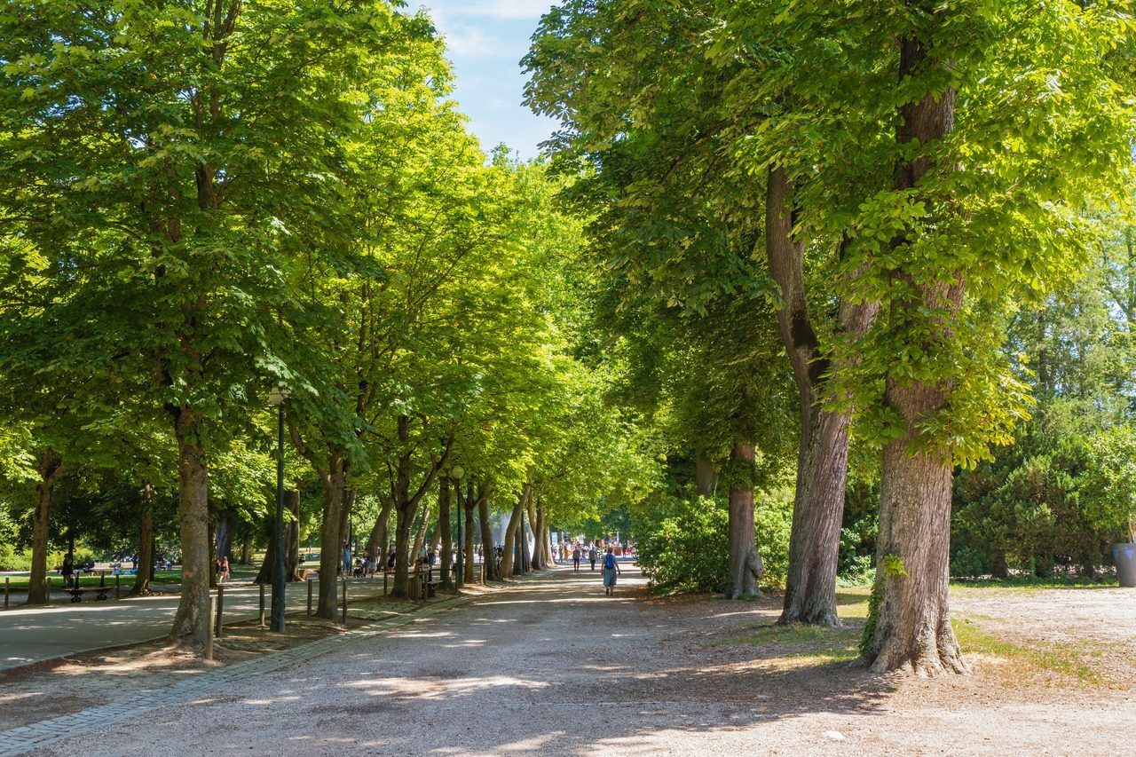 Parc de la Pépinière Nancy