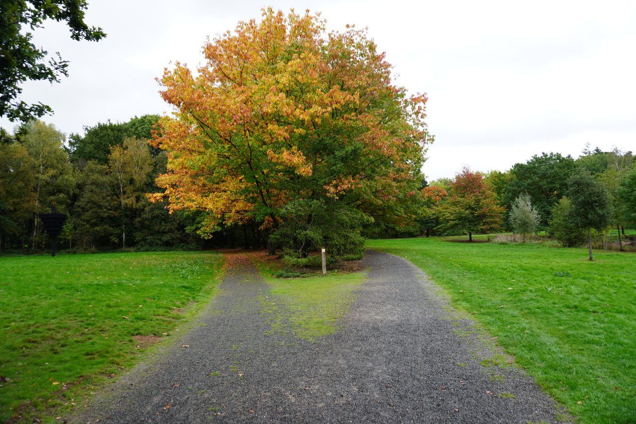 Parc des Gayeulles