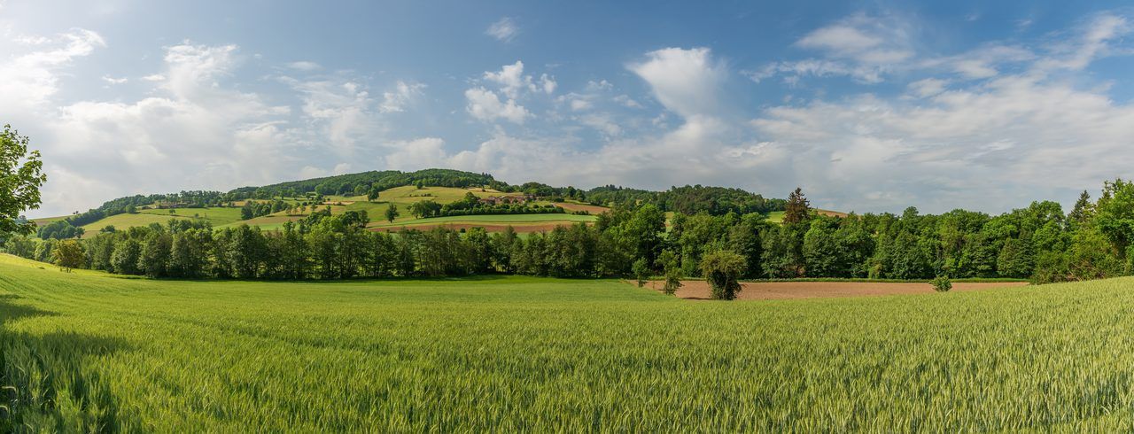 Monts du Lyonnais