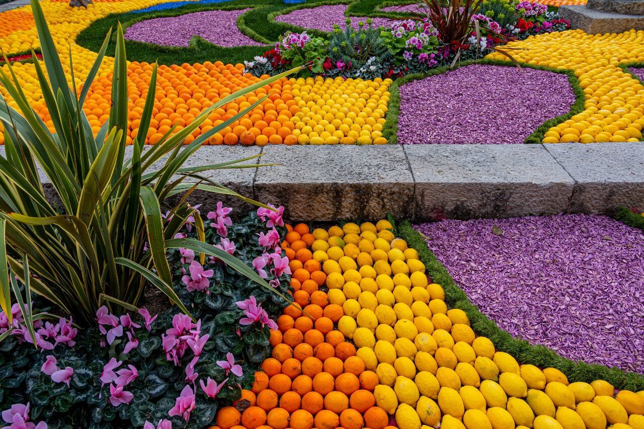 Jardin Biovès