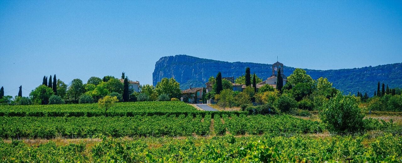 Pic Saint-Loup