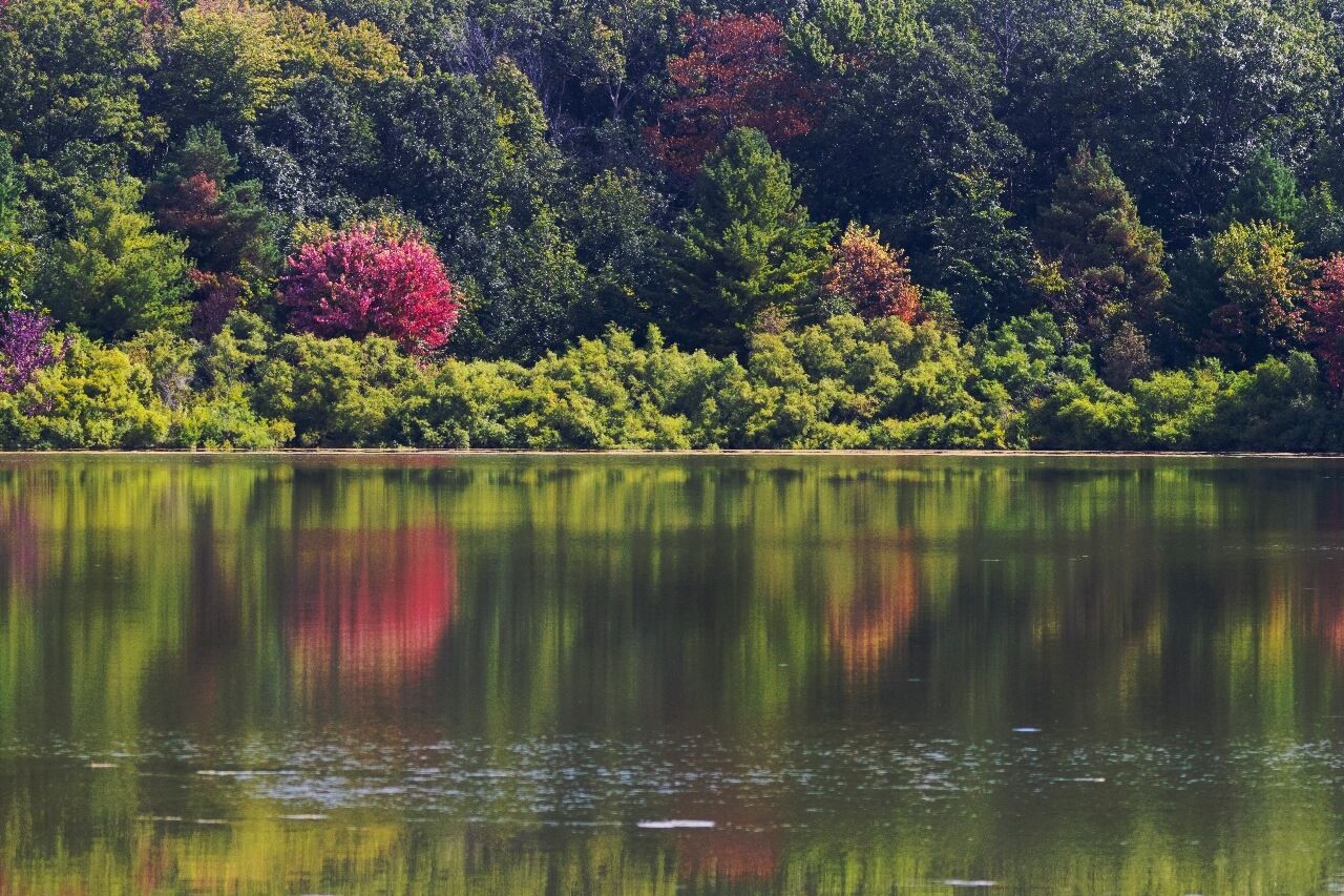 Parc national d'Oka