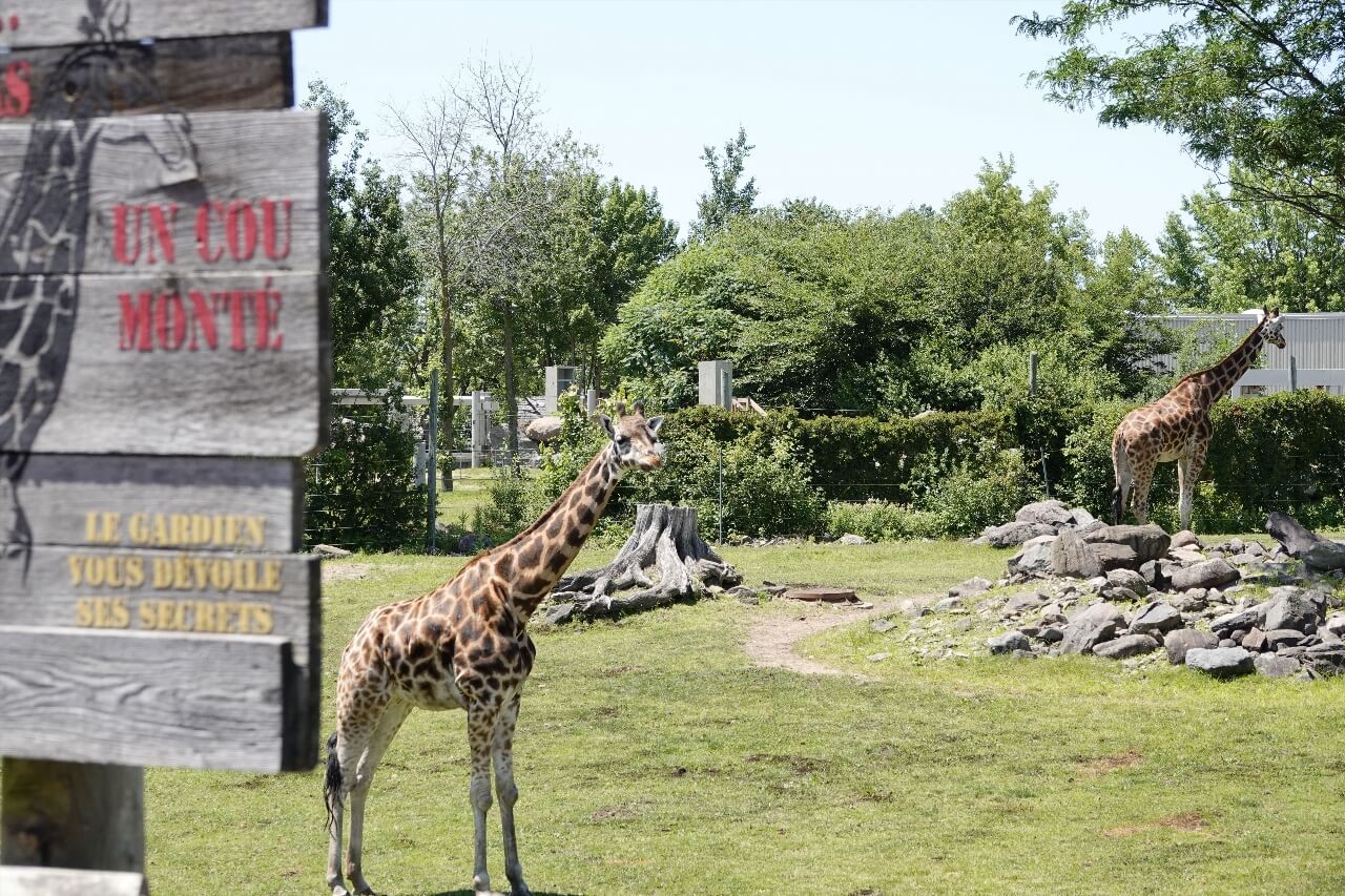 Zoo de Granby