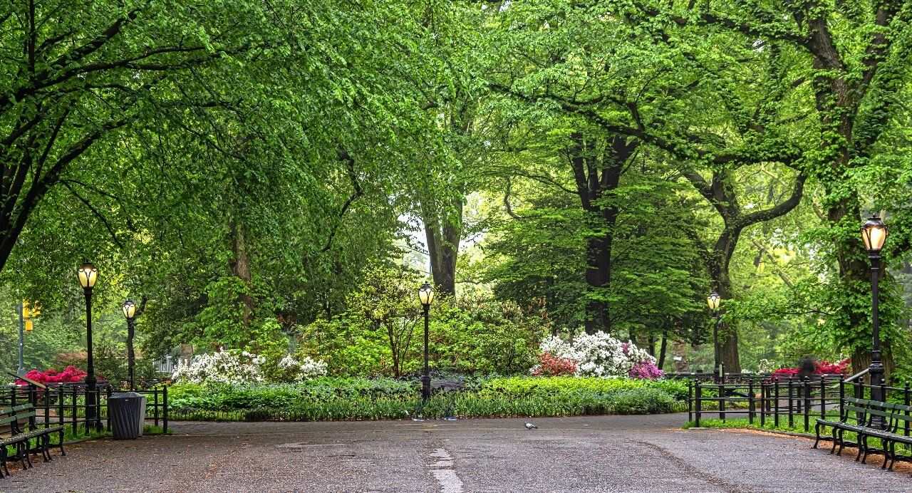 Central Park