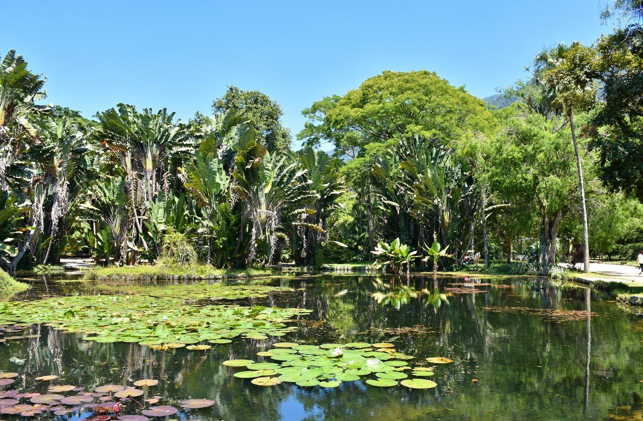 Jardim Botânico Rio