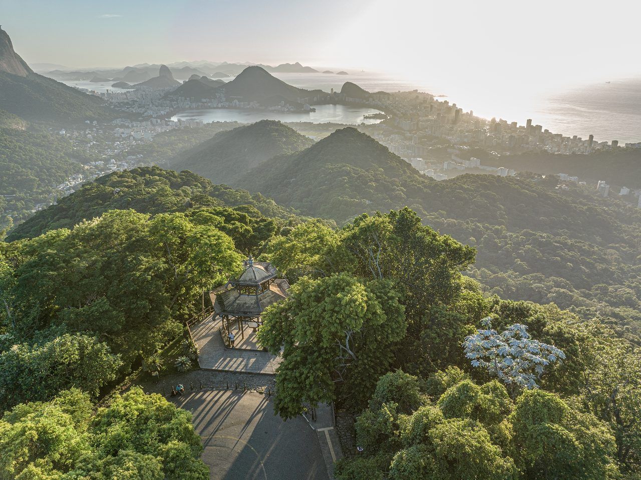 Forêt de Tijuca