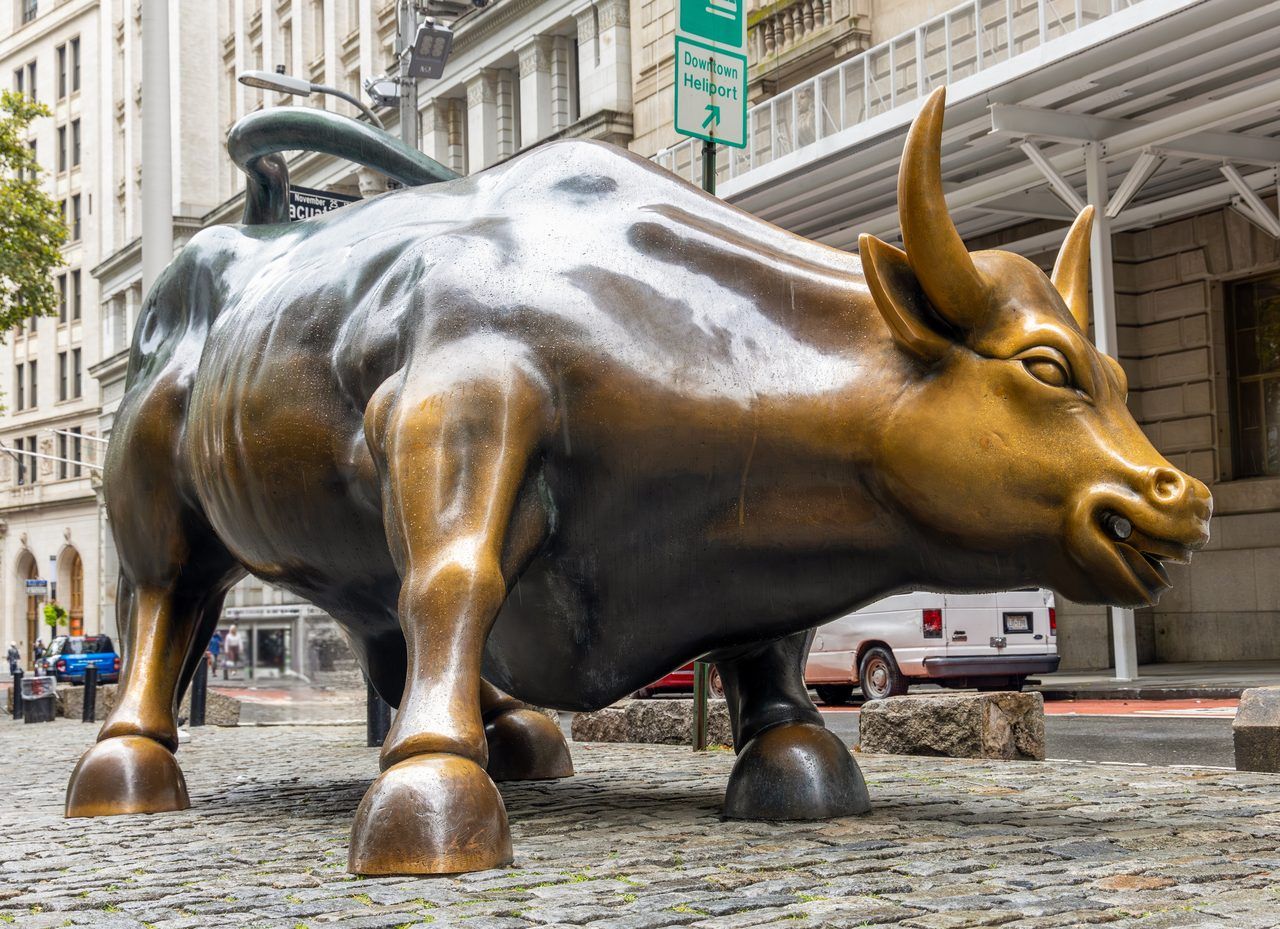 Charging Bull