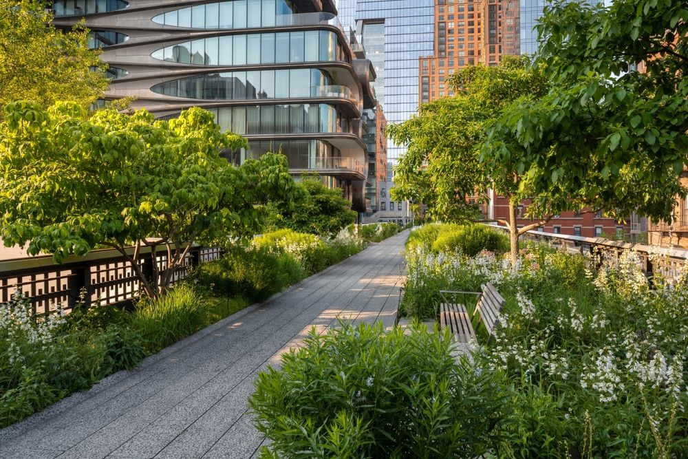 high-line-new-york