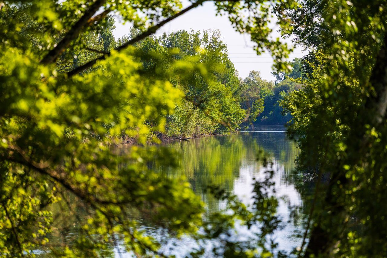 Tarn rivière printemps