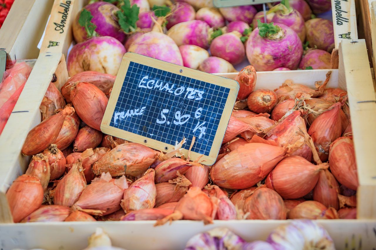 marché provençal producteurs locaux