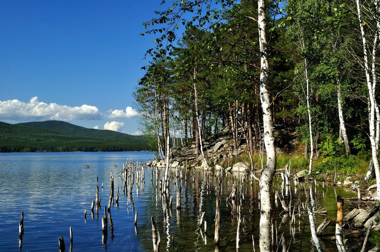 Lac de Saint-Pardoux