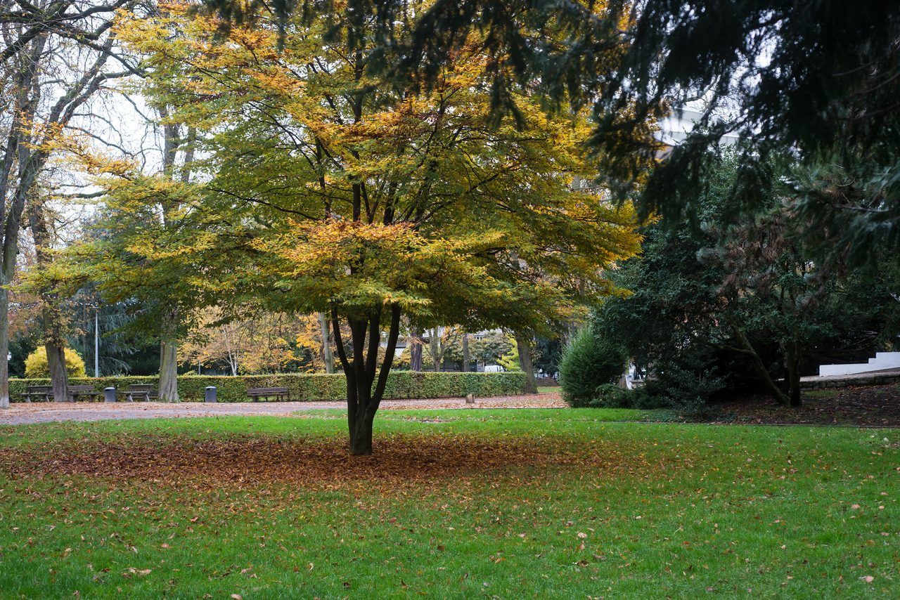 Parc Salvator Mulhouse