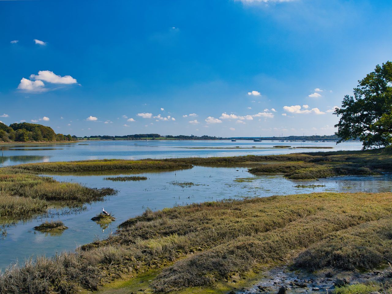 Sentiers côtiers Vannes