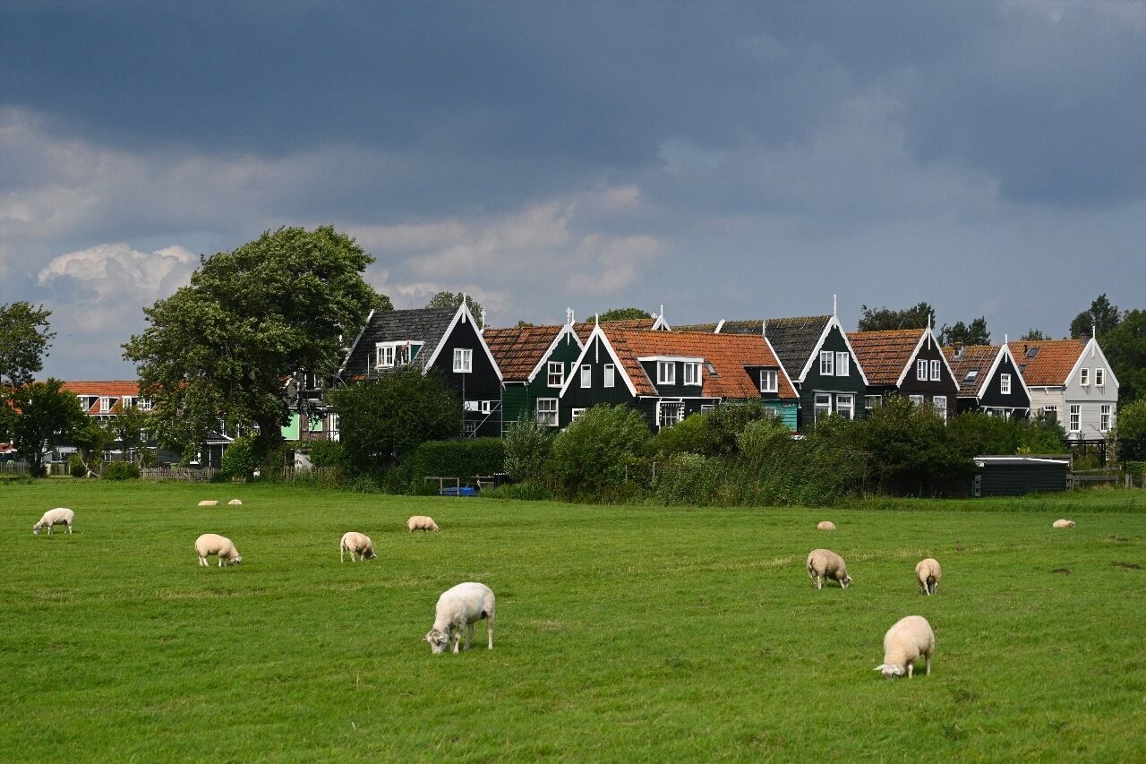 Waterland Amsterdam