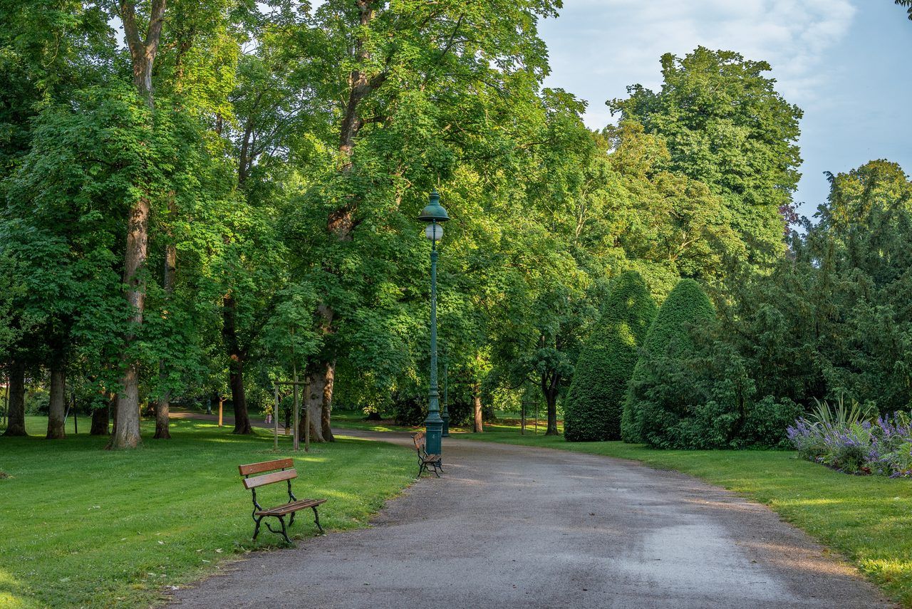 Balade à Vichy : parcs, lac et villages secrets en 2026