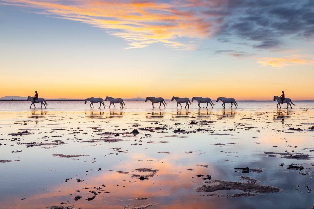 Camargue