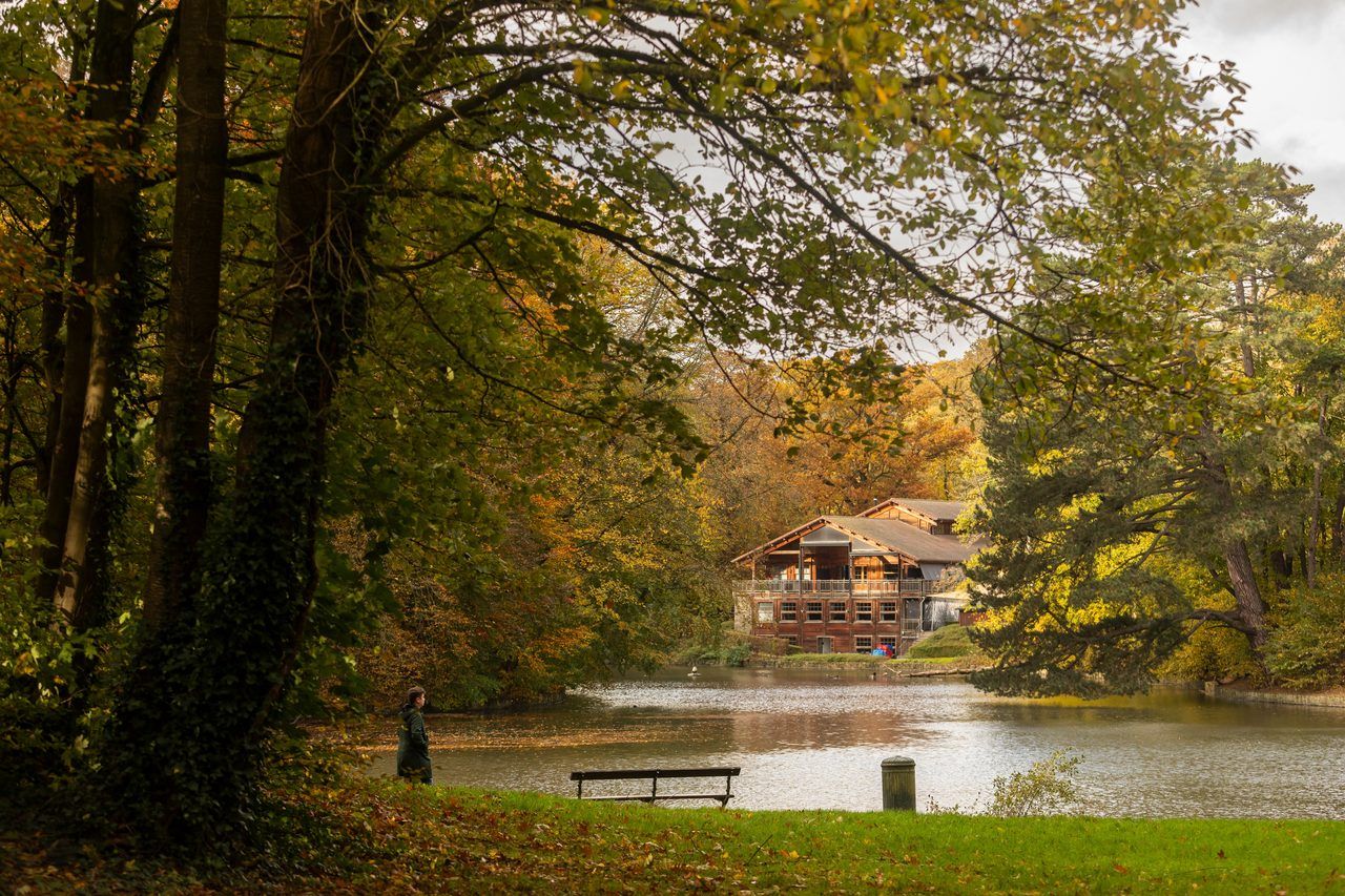 Bois de la Cambre