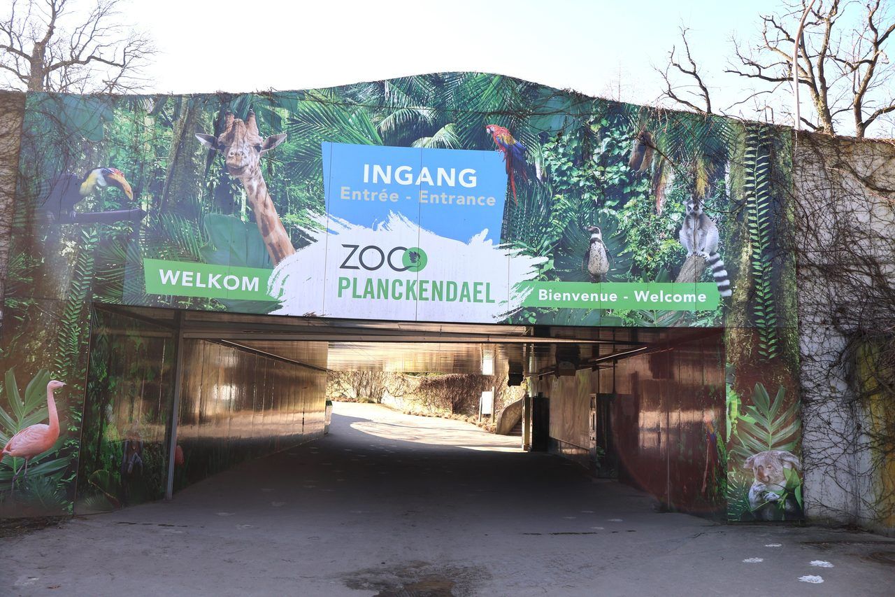 Zoo de Planckendael