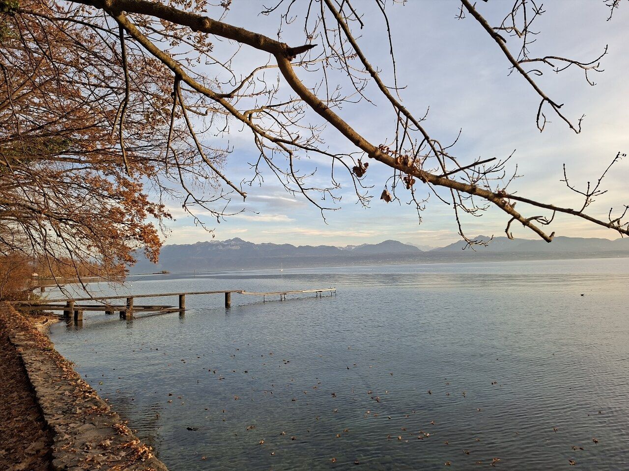 Lac Léman rive française