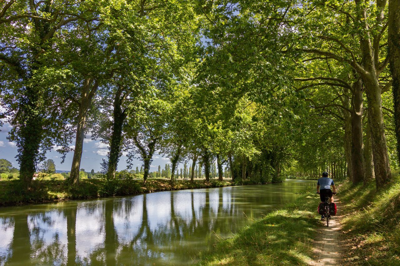 Le canal du Midi à vélo : itinéraire complet et conseils 2026