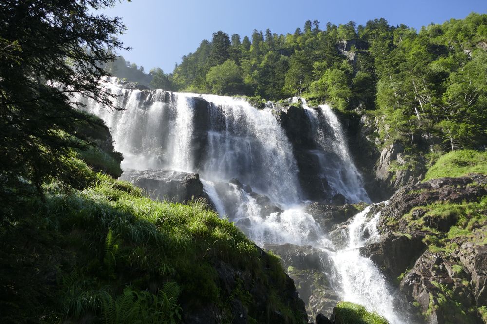 cascade-ars