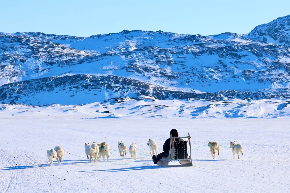 chiens-de-traineaux-font-romeu