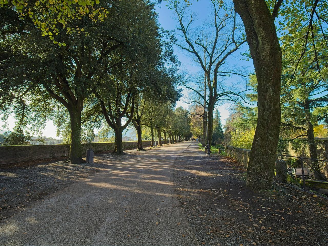 vélo Lucques remparts