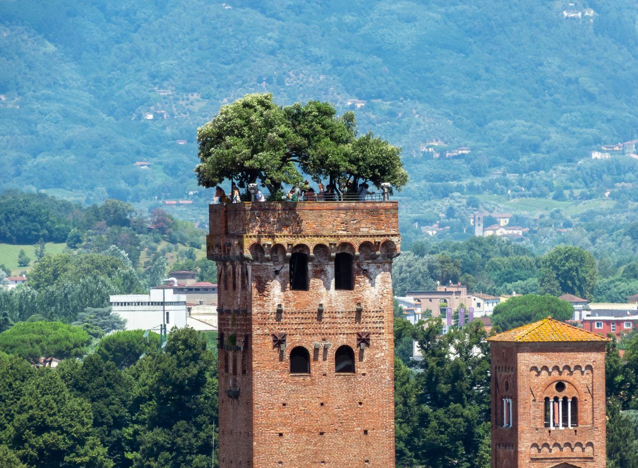 Torre Guinigi
