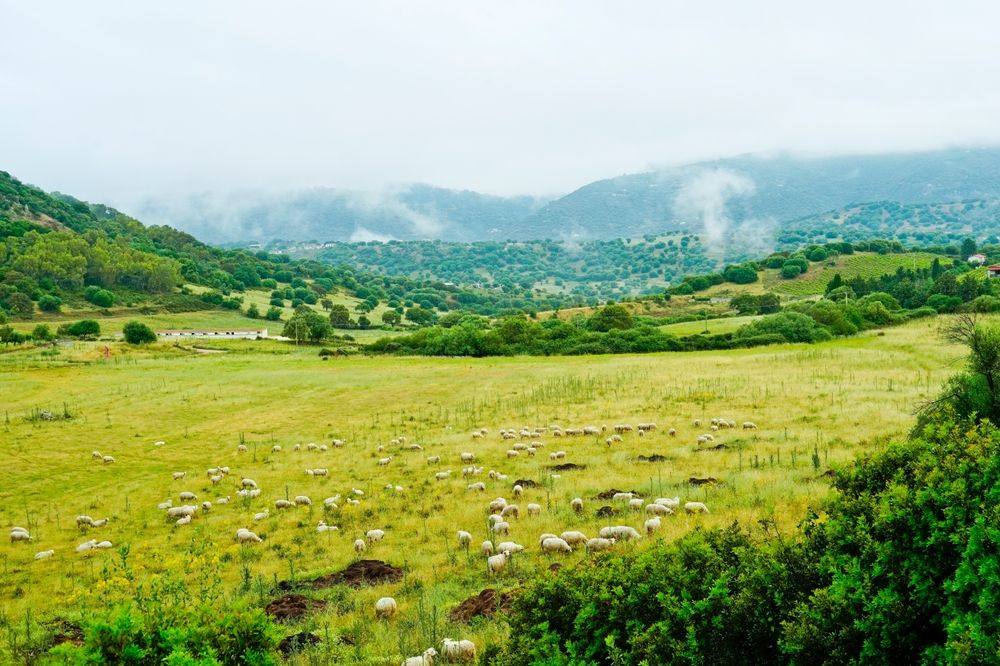 barbagia-sardaigne