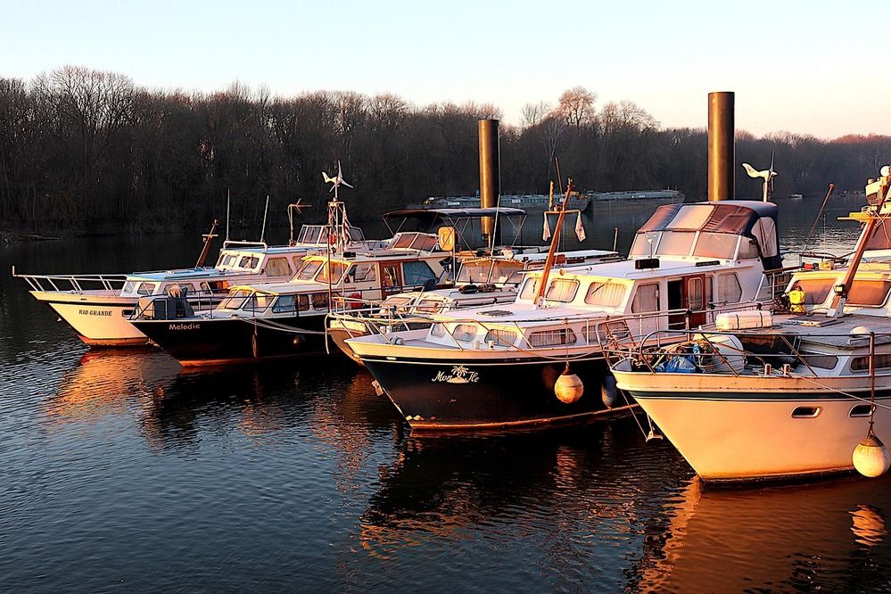 differents-bateaux-seine