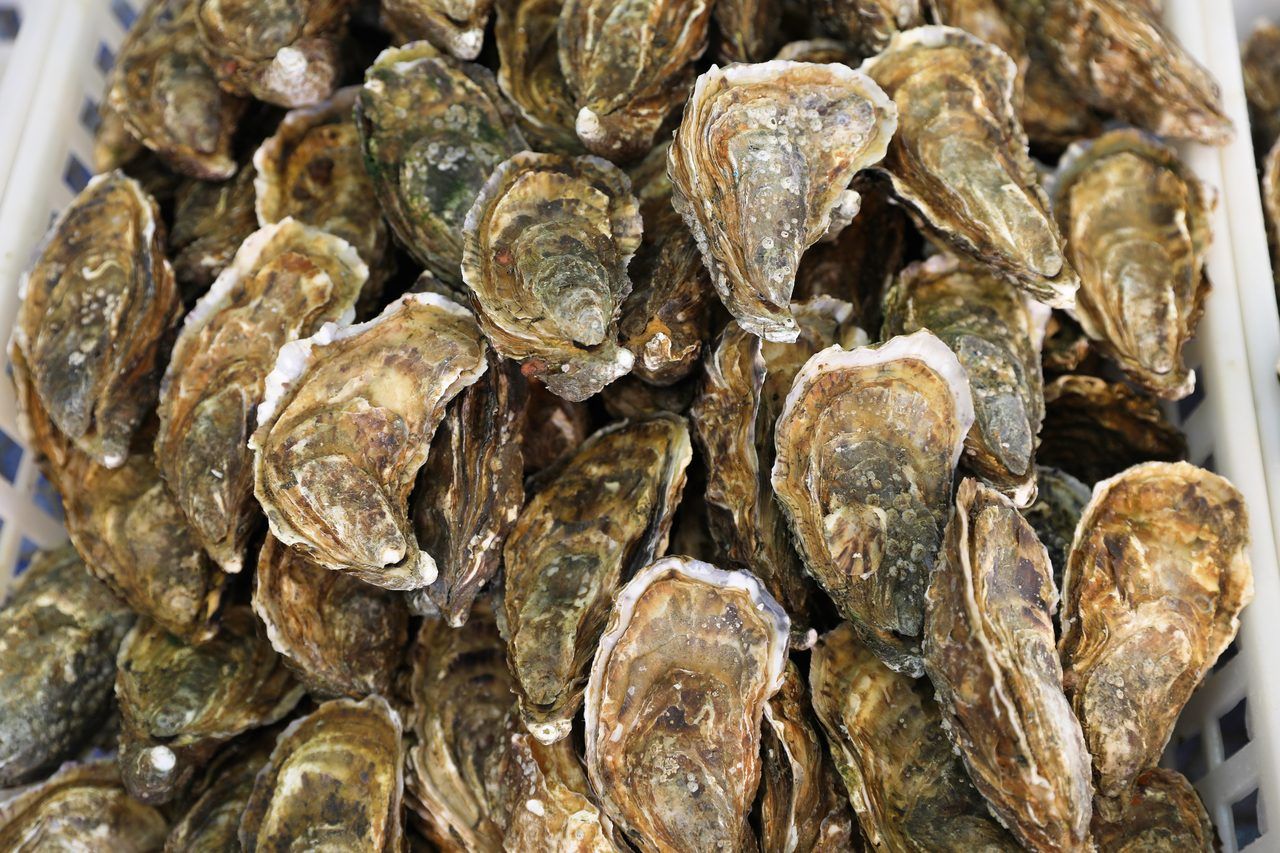 Gastronomie Cotentin
