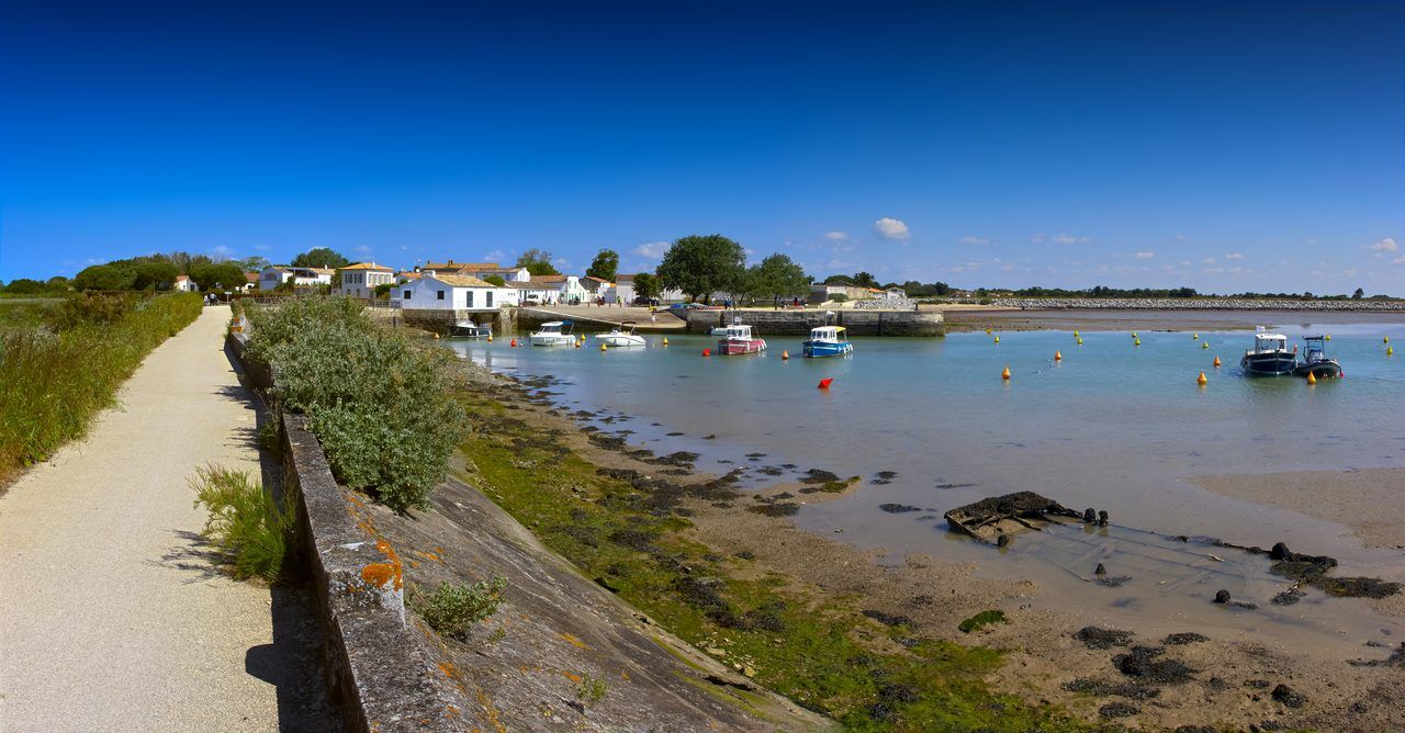 piste cyclable Île de Ré