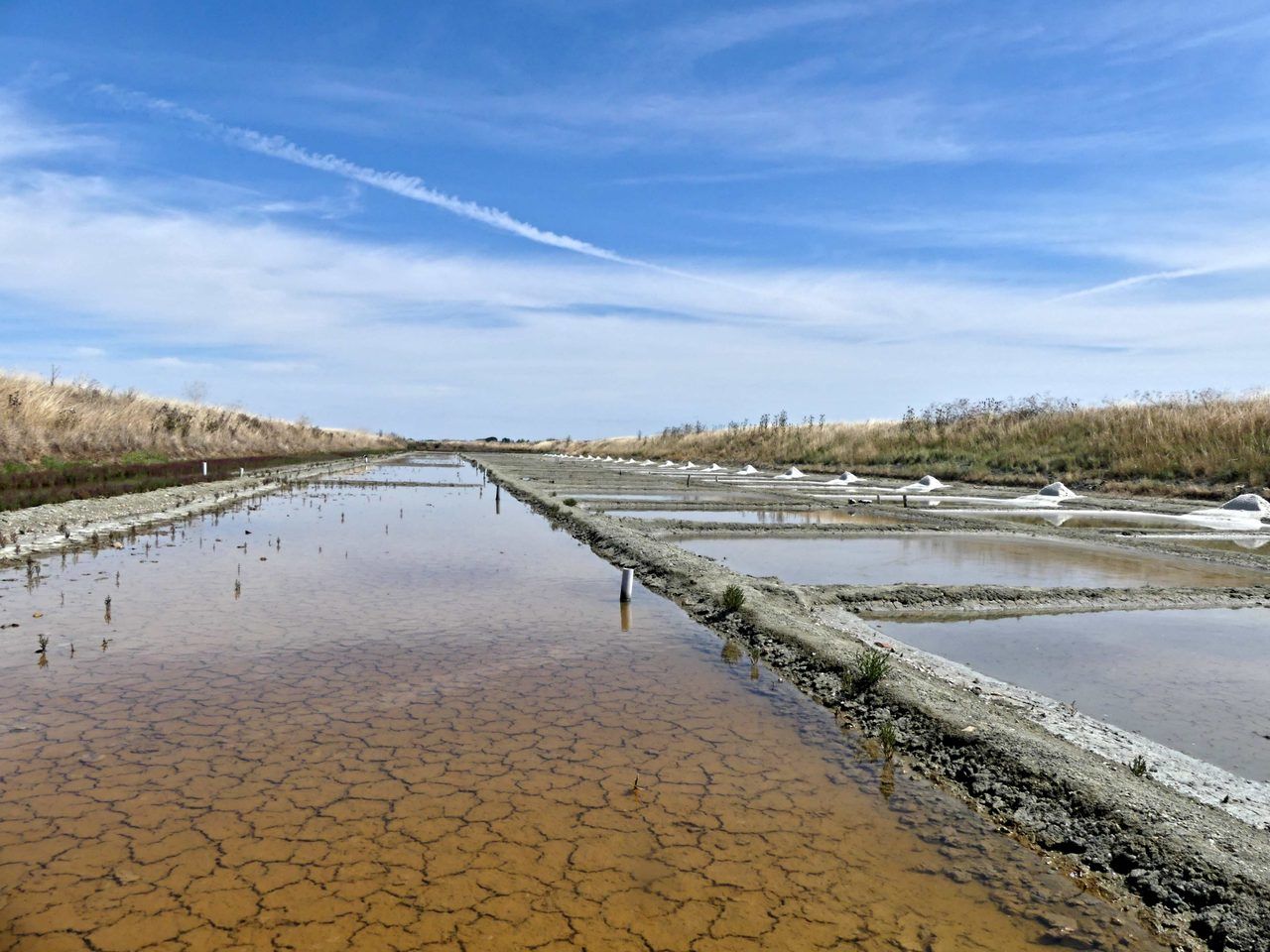 Marais salants île de Ré