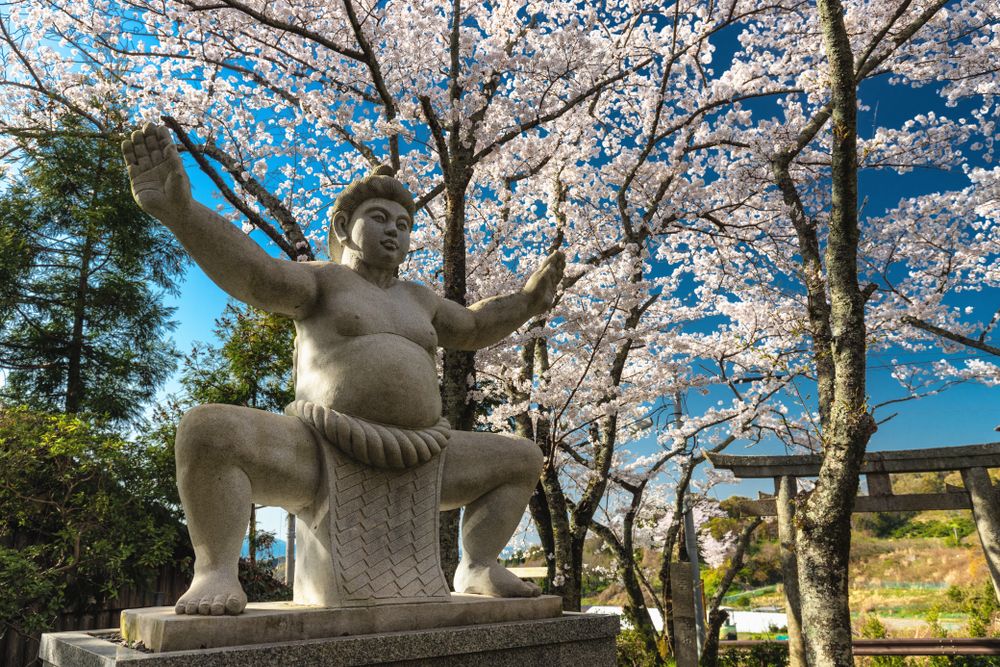 autel-sumo